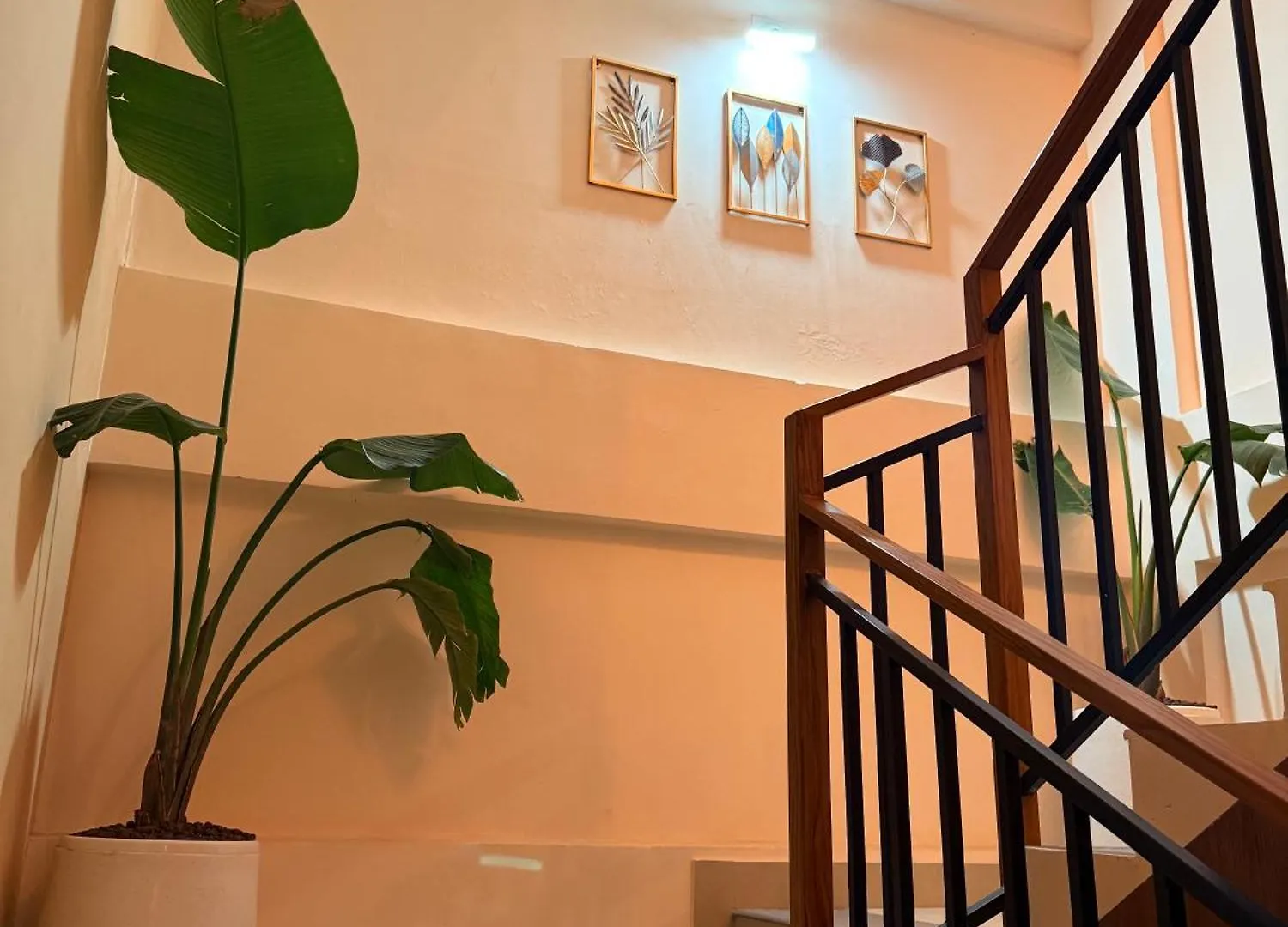 Ξενοδοχείο με διαμερίσματα Aj Wayanad Suites Kalpetta Ινδία